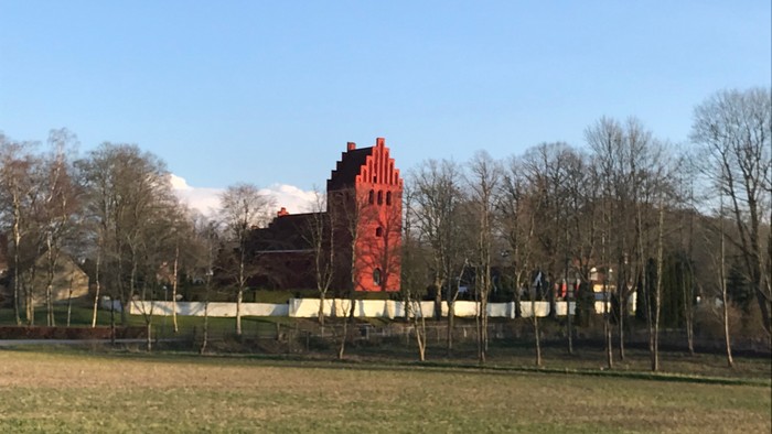 Et klart rødt slotlignende bygningsværk står midt mellem løvfrie træer i en parklignende omgivelse under klar himmel.