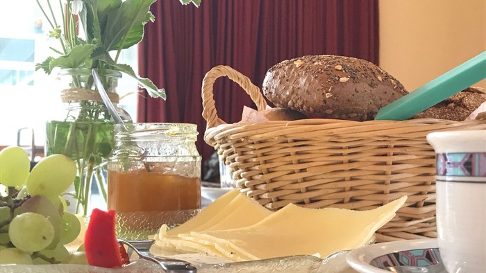 Eine gemütliche Picknick-Ausrüstung mit Brot, Käse, Trauben, Saft und einem Korb auf einem Tisch mit Grünpflanzen.
