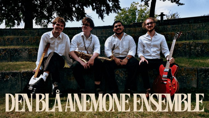Et kvartet ved navn Den Blå Anemone Ensemble poserer udendørs med musikinstrumenter og smiler.