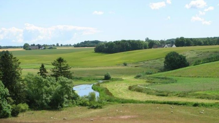 Invitation til en udendørs pinsegudstjeneste i et smukt grønt område den 20. maj 2024.