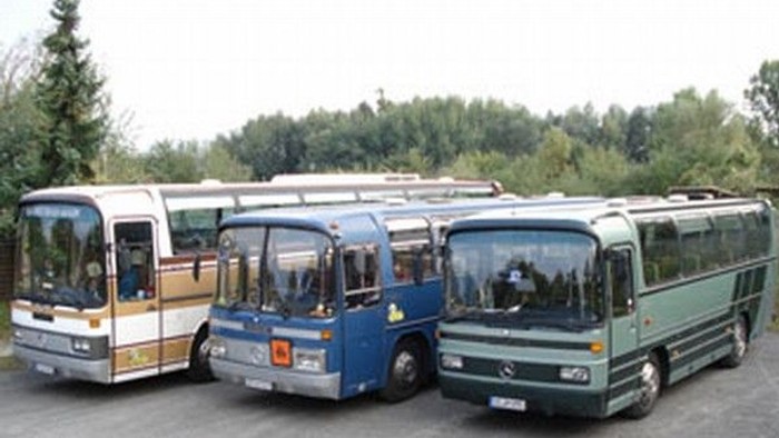 Drei geparkte Busse in verschiedenen Farben und Modellen stehen im Freien in der Nähe grüner Bäume.