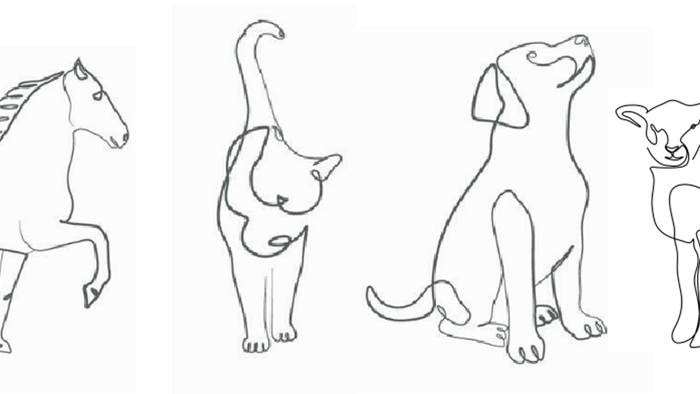 A series of simple line drawings depicting various mythical and real animals including a pegasus, dogs, sheep, and a fish.