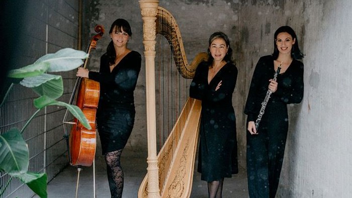 Tre musikere poser med cello, harpe og klarinet foran en rustik baggrund.