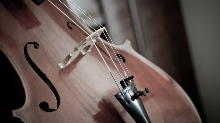 Ein Cello im Ausschnitt