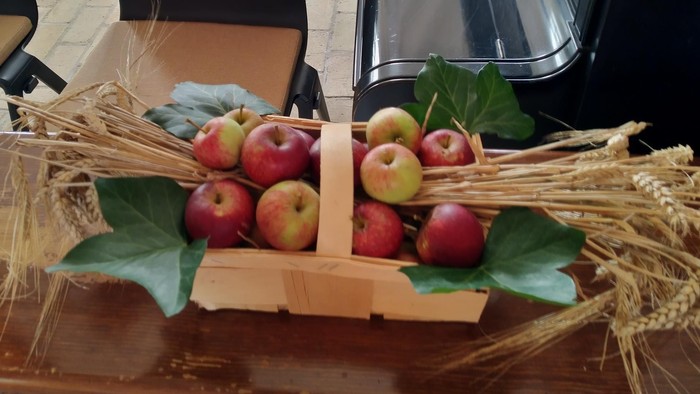 En rustik trækurv fyldt med æbler, hvedestrå og grønt på et bord ved siden af stole.