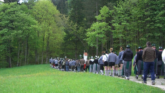 En stor gruppe mennesker i traditionelt tøj, der går gennem et frodigt, grønt skovområde.