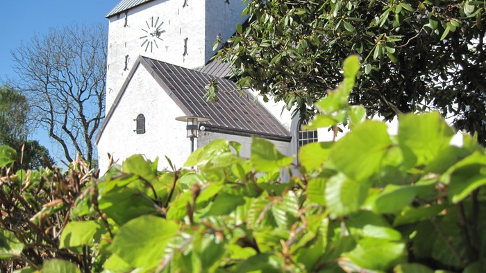 En hvid kirke med klokke og tårn bag et grønt buskage.