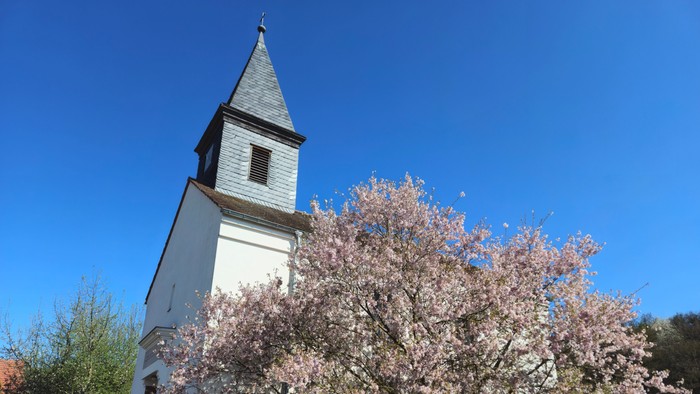 Weiße Kirche mit hohem Turm neben blühendem Baum