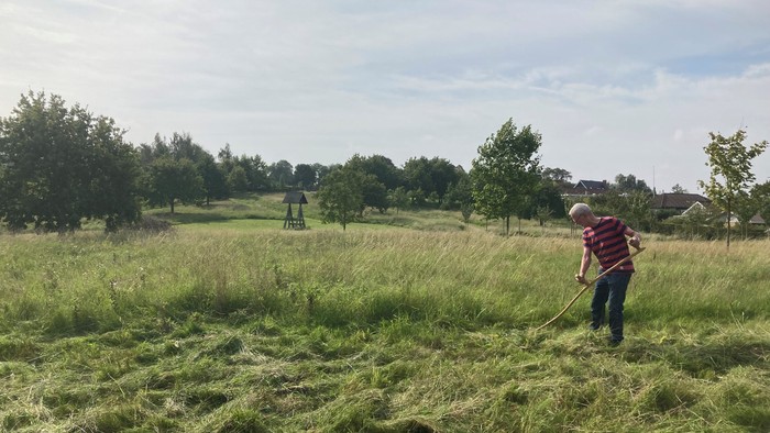 En person klipper græs i en eng med en hæksehøjs.