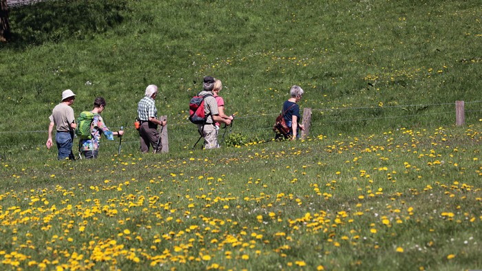 Gruppe von Wanderern, die durch ein leuchtend gelbes Wildblumenfeld gehen.