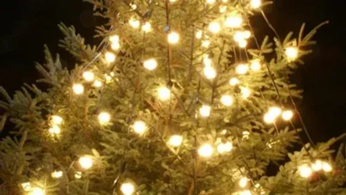 En lyssvøbe med gule lys på en busk.