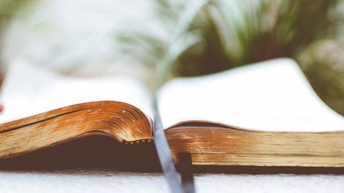 Offenes Buch auf Tisch mit Pflanzen im Hintergrund