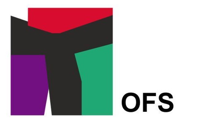 Farbenfrohes abstraktes Logo mit geometrischen Formen und dem Text „OFS“ daneben.