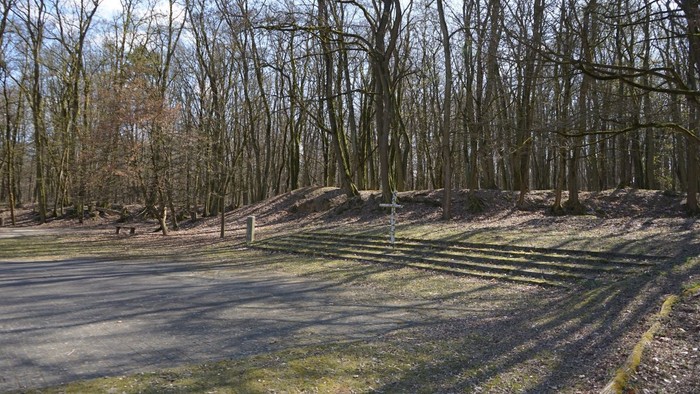 Freifläche mit einigen Stufen vor kahlen Bäumen und einem kleinen Hügel im Hintergrund