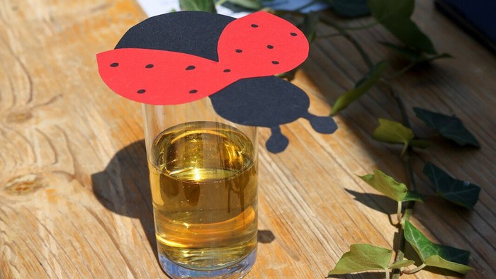 gebastelter Marienkäfer auf einem Trinkglas