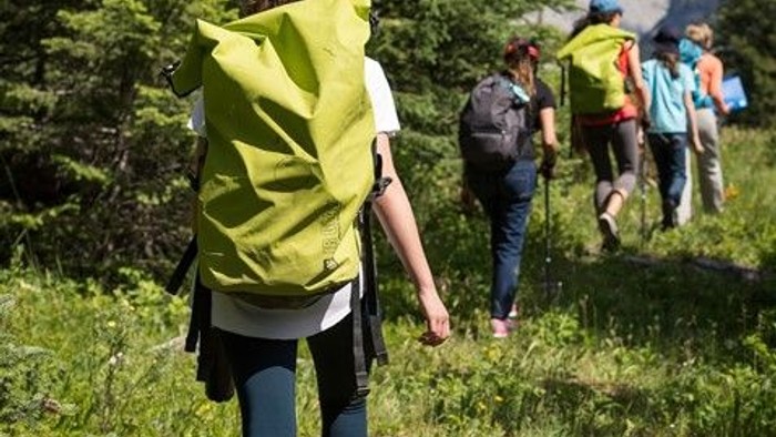 Ein Wanderer mit gelbem Rucksack geht vor einer Gruppe durch ein grasbewachsenes Gebiet.