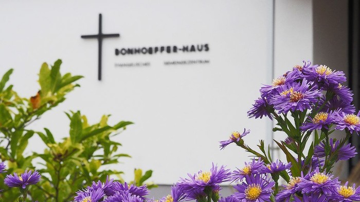 Lila Blumen vor einem Schild mit einem Kreuz