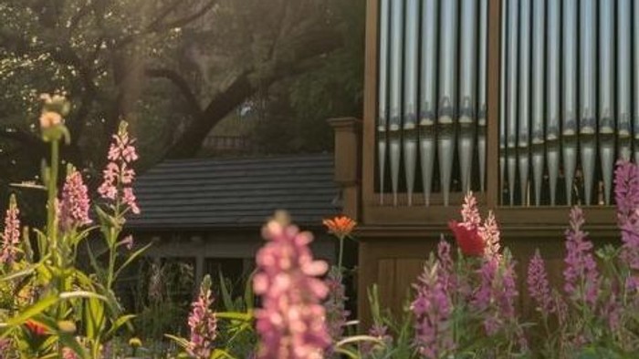 Von der Sonne beschienene Orgelpfeifen, umgeben von blühenden Blumen und üppigem Grün.