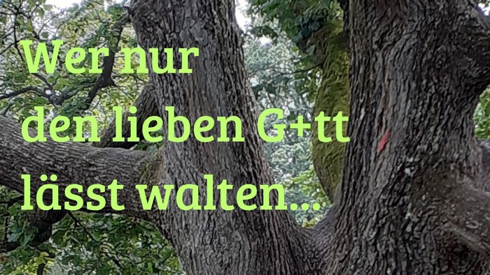 Plakat zur Gottesdienstankündigung mit einem großen Baum und Text auf Deutsch über eine Predigt am 11. Oktober.