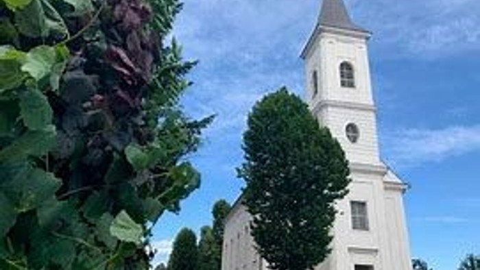 Weiße Kirche mit hohem Turm und grünen Bäumen.