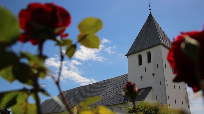 sommerfoto af kirken med en rose i forgrunden