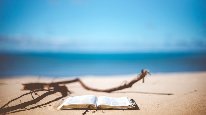 Offenes Buch im Sand am Meer mit einem Ast daneben