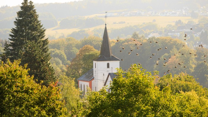 Ein friedlicher Kirchturm erhebt sich über üppiges Grün, während im Hintergrund ein Schwarm Vögel vorbeizieht.