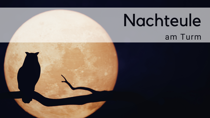 Schwarze Eule auf schwarzem Ast vor dem Mond