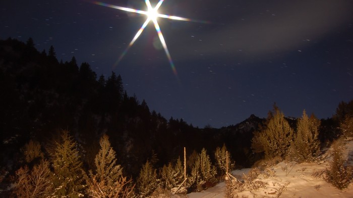 En snødekt vej omgivet af tørve og træer under en stjernet natt