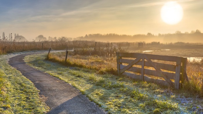 Ein morgendlicher Feldweg mit Reif und Sonnenaufgang