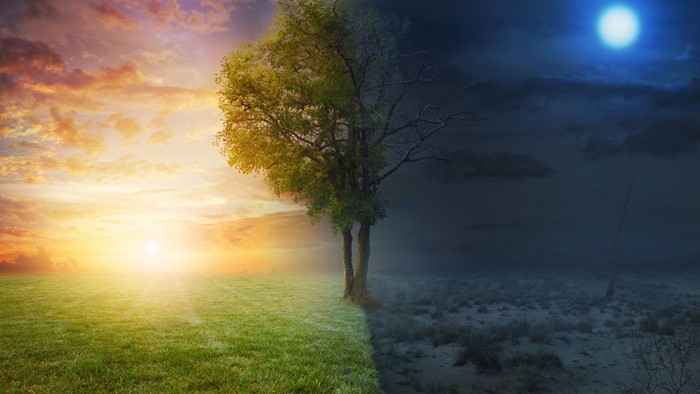 Ein Baum steht im Sonnenuntergang und im Mondschein auf einem Feld