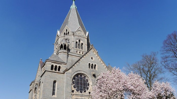 Historische Kirche mit spitzem Turm und blühenden Kirschblüten im Vordergrund unter klarem blauem Himmel.