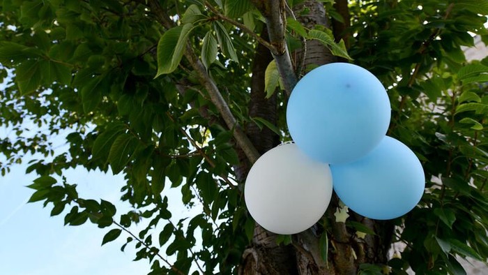 Hellblaue und weiße Luftballons, die an einem Ast zwischen üppigem grünem Laub befestigt sind.