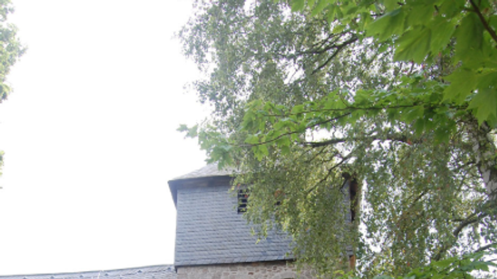 Das Foto zeigt die Kirche von Nieder-Ense mit einem Baum davor.