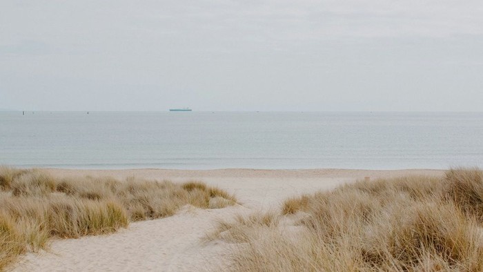 Stille strand med sandklitter og et fjernt skib på den rolige, vidtstrakte oceanhorisont.