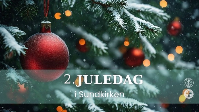 Julepynt på sneklædt træ, teksten lyder *