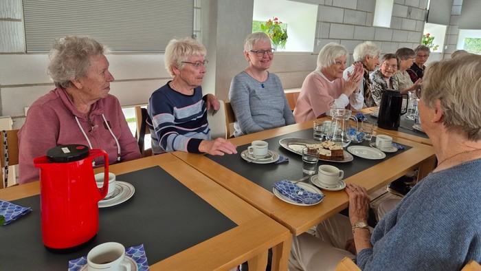 Gruppe af ældre mennesker, der drikker kaffe og snakker.
