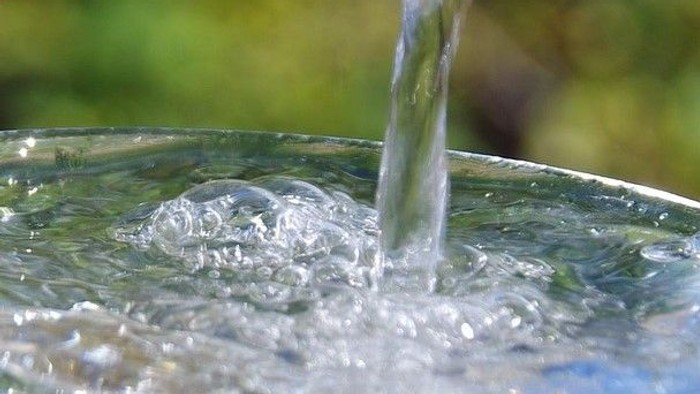 Wasser fließt in ein Glas, umgeben von Grün.