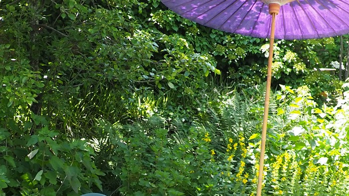 Ein Garten mit blauen Stühlen, einem Holzbank und einem großen lila Regenschirm.