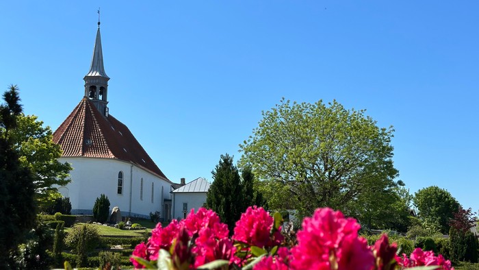 En hvid kirke med spiret og rødt tag, omgivet af træer og rød blomst.