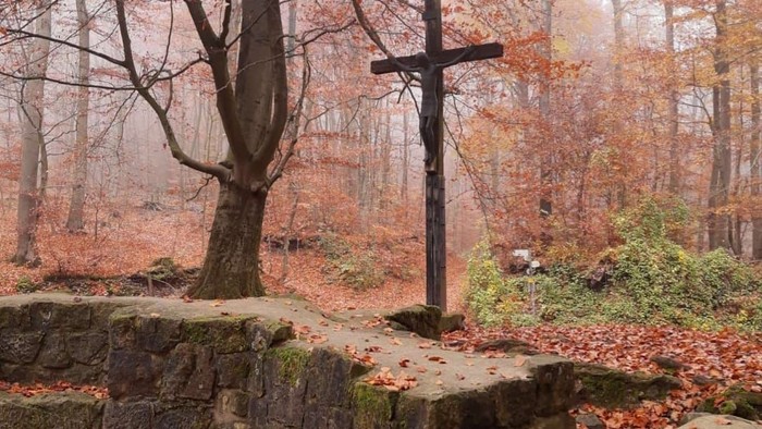 Nebelige Waldszene mit einem verwitterten Kreuz auf moosbedecktem Stein in der Nähe von Herbstlaub.