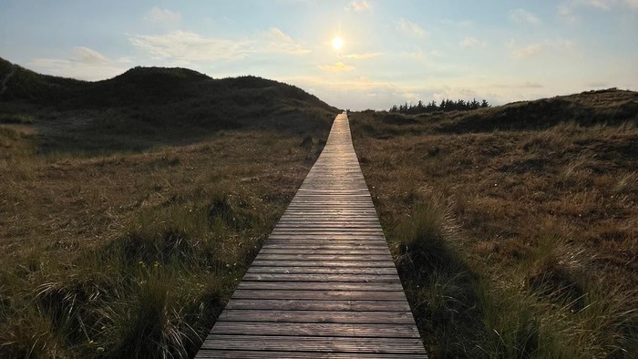 Ein hölzerner Steg führt durch eine grasbewachsene Landschaft bei Sonnenuntergang