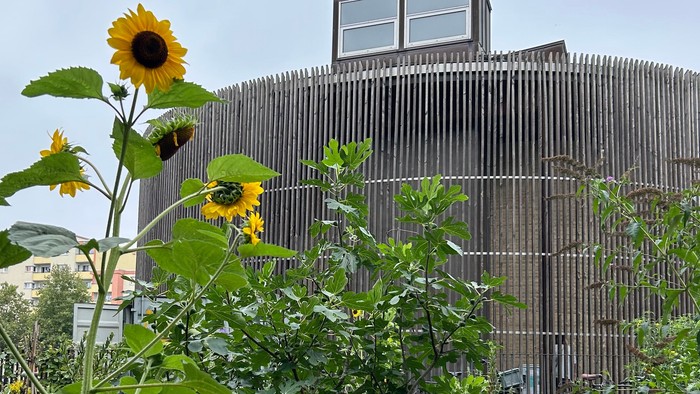 Die Kapelle der Versöhnung mit blühender Sonnenblume
