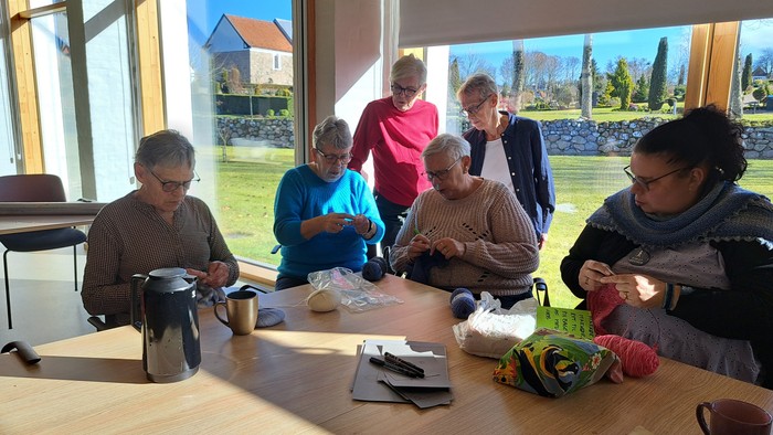Gruppe af mennesker, der strikker sammen i en lys og solrig indendørs indstilling med store vinduer.