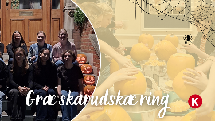 En gruppe af venner samles til en skarvsække ring