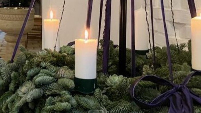 Elegant feriekrans pyntet med lys og lilla bånd, omgivet af grønt og sukkulenter.