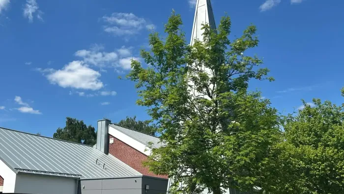 Ein Kirchturm erhebt sich über üppig grüne Bäume unter einem klaren blauen Himmel mit angrenzenden Gebäuden.