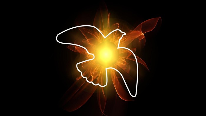 Pfingstvogel in Shilouette mit Erleuchtungseffekt im Hintergrund