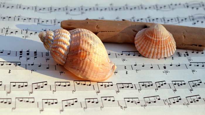 Muscheln liegen auf Notenblättern, daneben ein Holzstab.