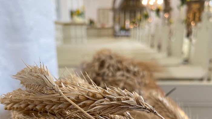 Et kornneg i en kirke.